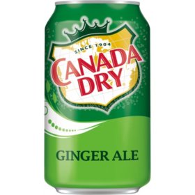 Ginger Ale (Lata 355ml)